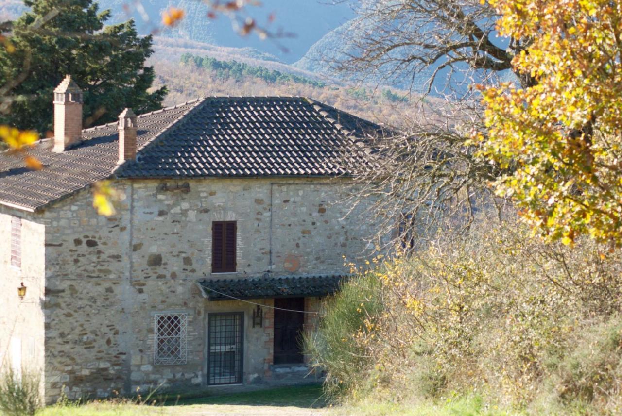 Agriturismo La Malcontenta E Il Lupo Todi Exterior photo